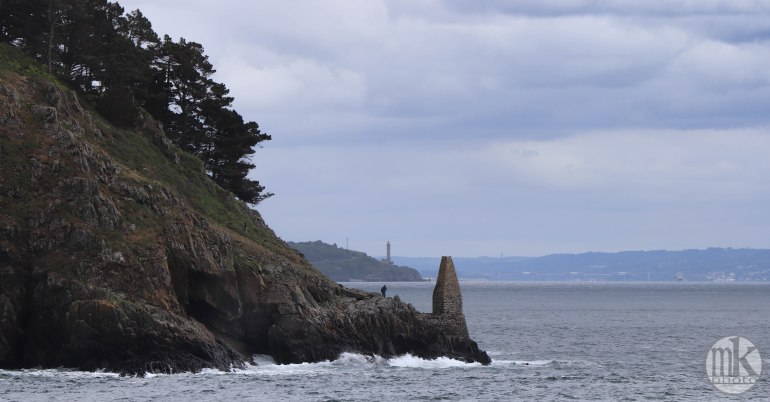 le petit minou, 5 juin 2020, 16h49