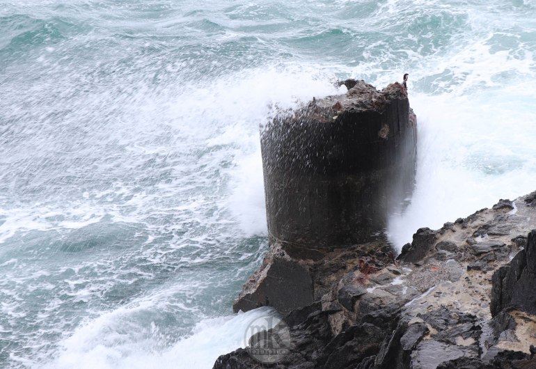 le petit minou, 5 juin 2020, 16h50