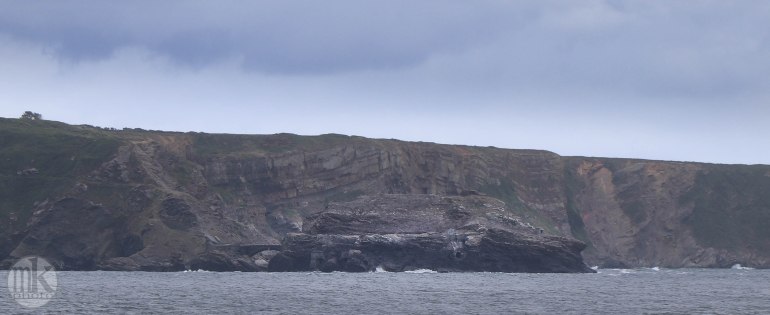 le petit minou, 5 juin 2020, 16h53